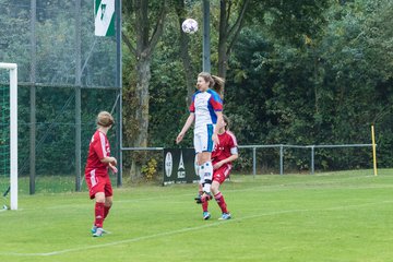 Bild 199 - B-Juniorinnen SV Henstedt Ulzburg - SV Wahlstedt : Ergebnis: 11:0